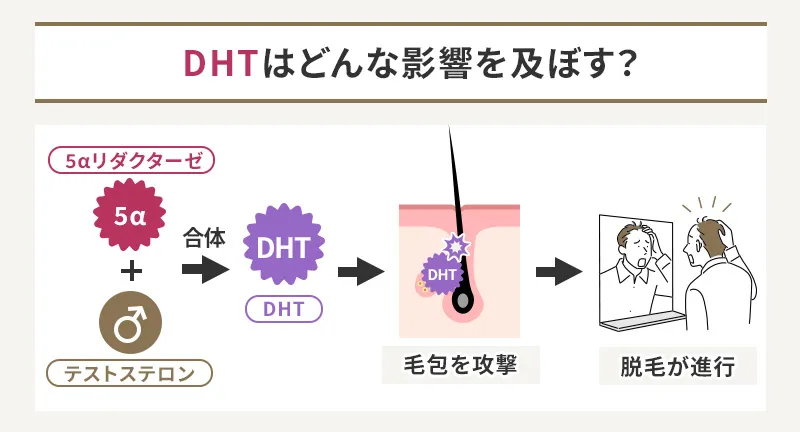 DHTが髪の毛に及ぼす影響