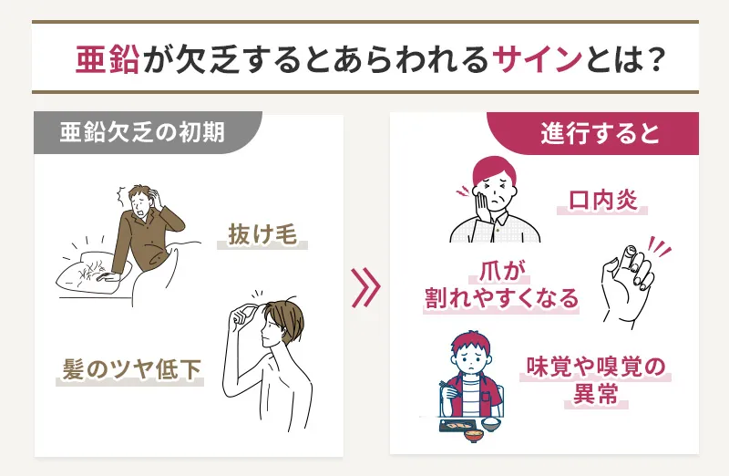 亜鉛の欠乏によって現れるサイン