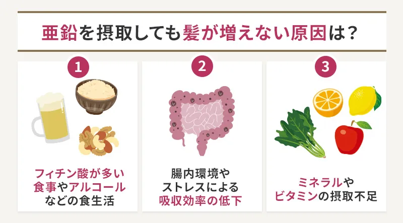 亜鉛を摂取しても髪が増えない原因