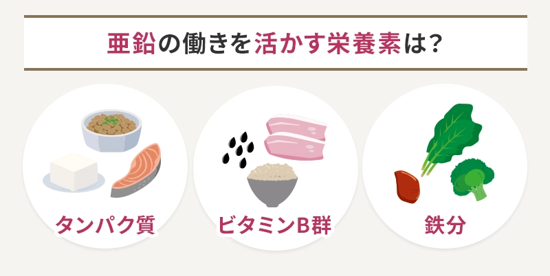 亜鉛の働きを活かす3つの栄養素
