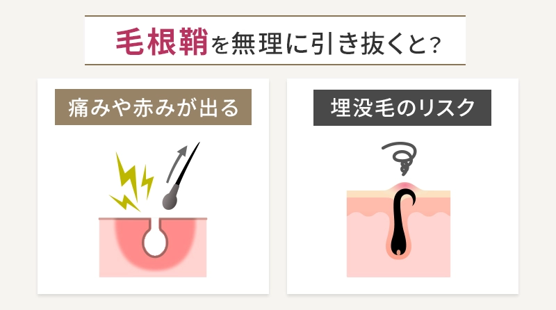 毛根鞘を抜くとどうなる？将来的なリスクと一時的な症状について解説