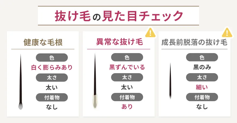 正常な抜け毛と異常な抜け毛の違い