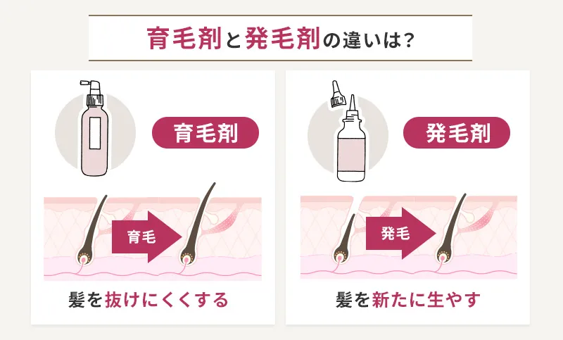 つむじはげを治すのに効果的？育毛剤と発毛剤の違い