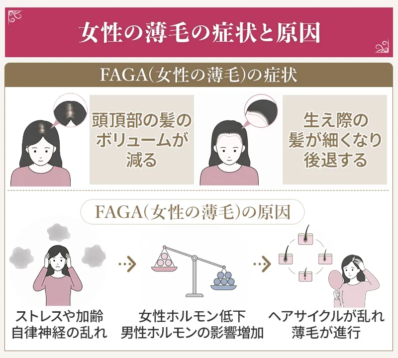 FAGAは女性ホルモンの減少による頭頂部や生え際のボリュームダウン